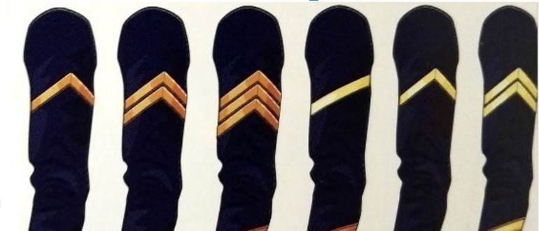 Galloni di anzianità delle uniformi napoleoniche – G. Centanni